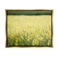 thumbnail image 1 of Stupell Industries Bright Country Meadow Wildflowers Photograph Metallic Gold Floating Framed Canvas Print Wall Art, Design by Nancy Crowell, 1 of 6