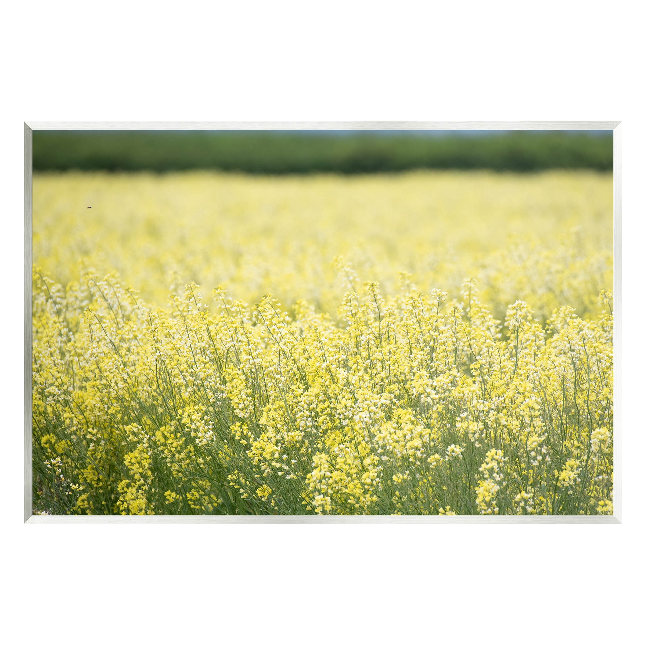 Stupell Industries Bright Country Meadow Wildflowers Photograph Unframed Art Print Wall Art, Design by Nancy Crowell