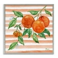 thumbnail image 1 of Stupell Industries Bright Juicy Orange Vine Gray Framed Giclee Art design by Paul Brent, 12 x 12, 1 of 8