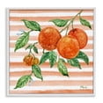 thumbnail image 1 of Stupell Industries Farmhouse Bright Juicy Orange Vine White Framed Giclee Art, 12 x 12, by Paul Brent, 1 of 7