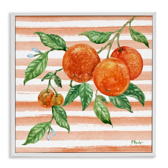 Stupell Industries Farmhouse Bright Juicy Orange Vine White Framed Giclee Art, 12 x 12, by Paul Brent