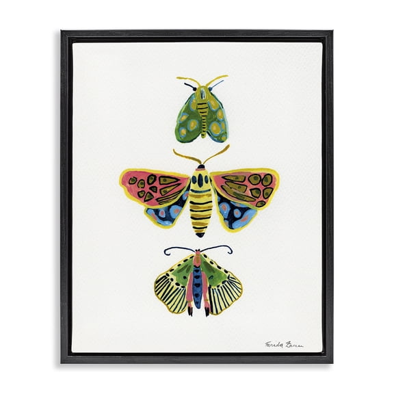 Stupell Industries Bright Moths Earth Tones Black Framed Floater Canvas Wall Art design by Farida Zaman, 31 x 25