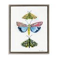 thumbnail image 1 of Stupell Industries Eclectic Bright Moths Trio Brown Floating Frame Canvas Art, 25 x 31, by Farida Zaman, 1 of 7