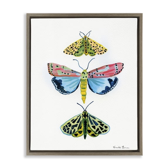 Stupell Industries Eclectic Bright Moths Trio Brown Floating Frame Canvas Art, 25 x 31, by Farida Zaman