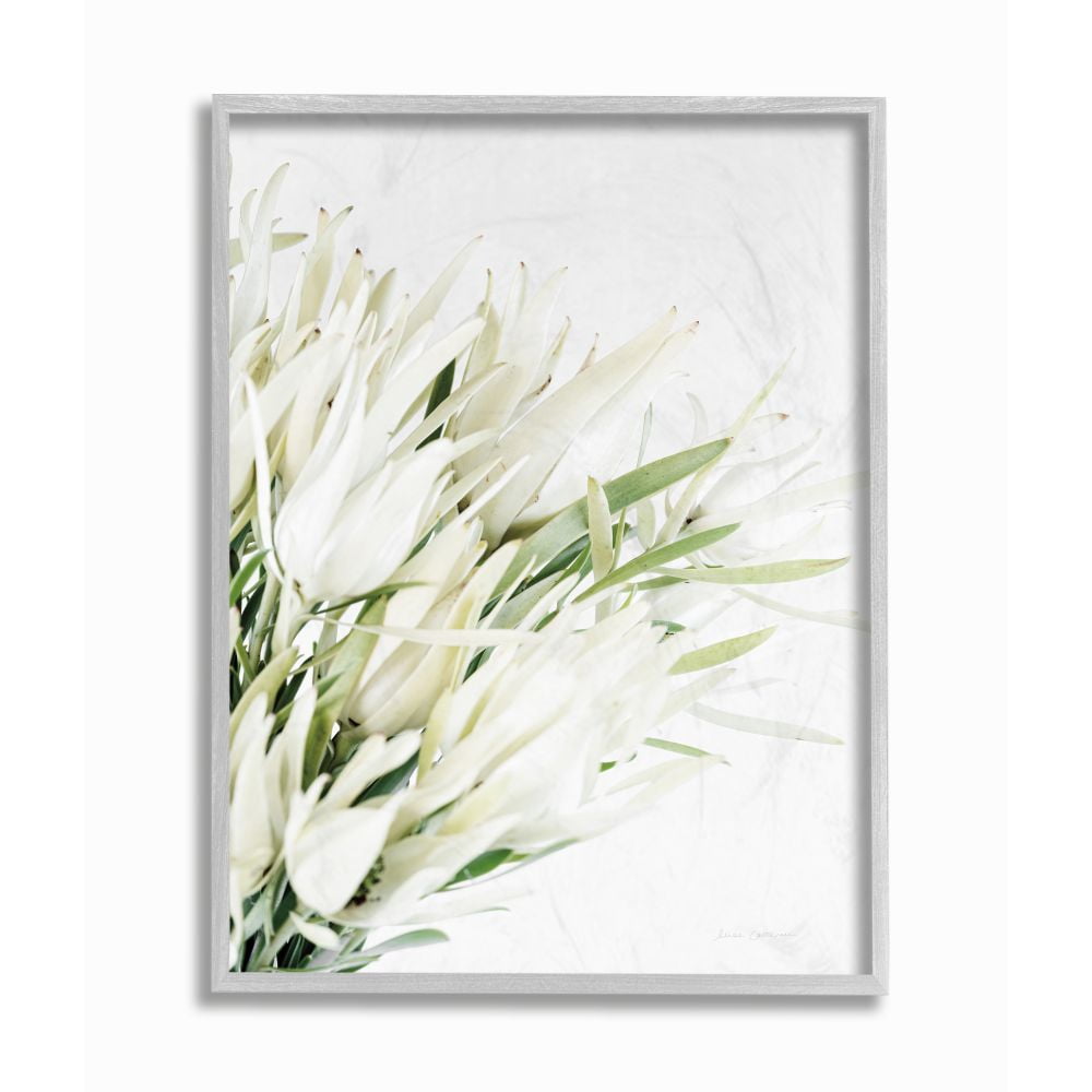 Stupell Industries Bright Natural Flower Arrangement White Green Photograph Framed Wall Art Design by Elise Catterall, 11" x 14", Gray Framed
