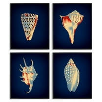 Stupell Industries Bright Shells on Indigo Nautical & Beach Painting Black Framed Art Print Wall Art, 11 x 14, Set of 4