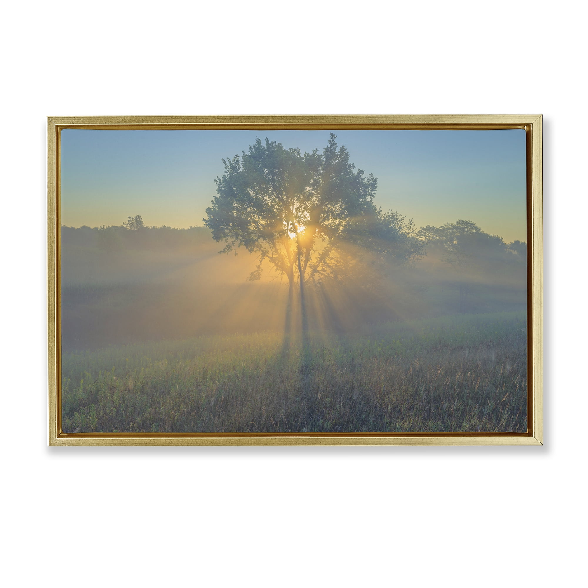 Stupell Industries Bright Sunlit Tree Landscape & Nature Photography Gold Floater Framed Canvas Art Print Wall Art, 25 x 17