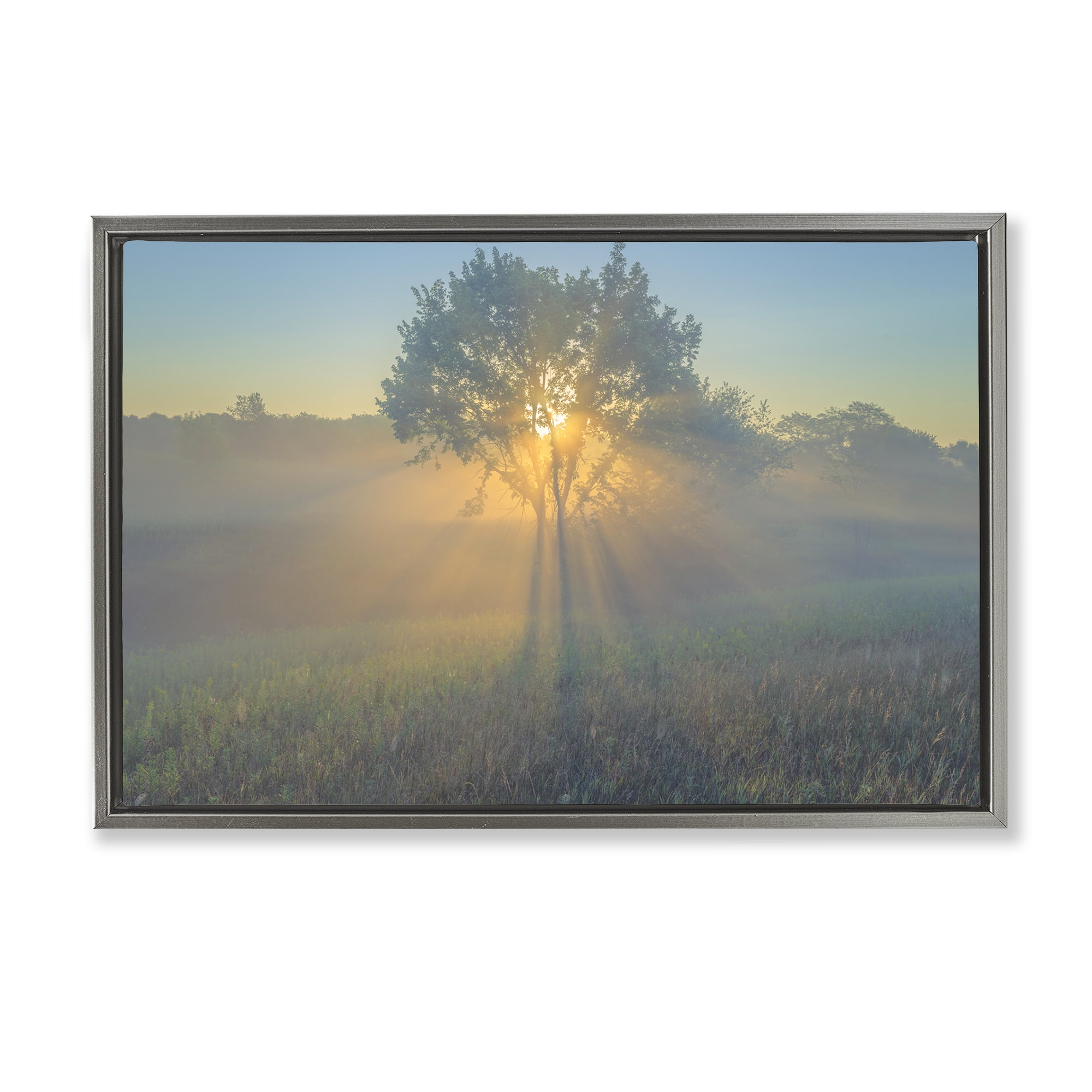 Stupell Industries Bright Sunlit Tree Landscape & Nature Photography Gray Floater Framed Canvas Art Print Wall Art, 31 x 21