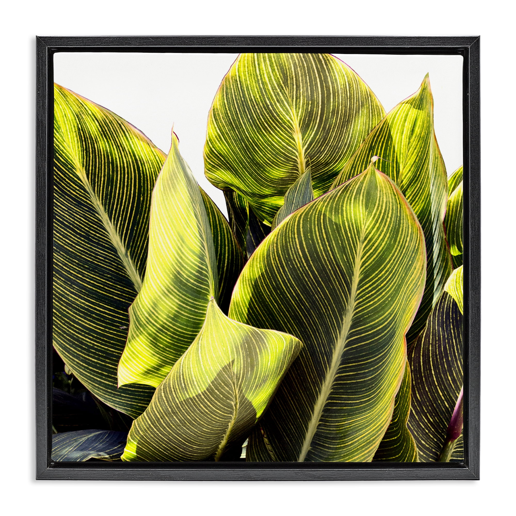 Stupell Industries Bright Tropical Leaves Botanical & Floral Painting Black Floater Framed Art Print Wall Art, 18 x 18
