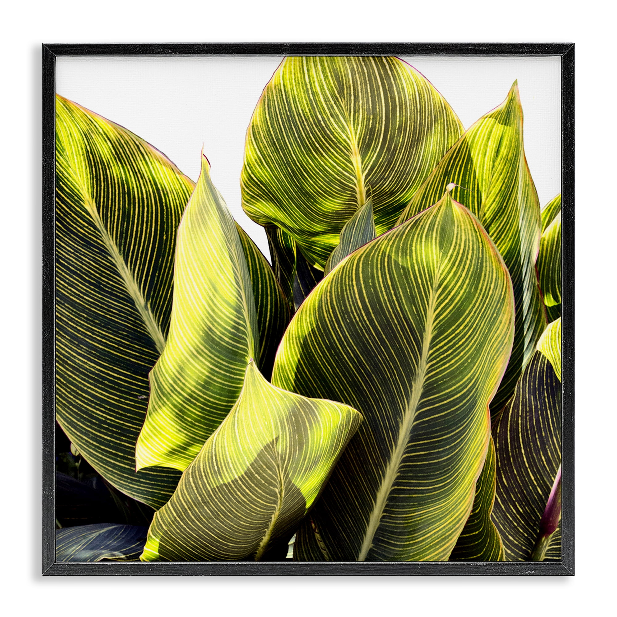 Stupell Industries Bright Tropical Leaves Botanical & Floral Painting Black Framed Art Print Wall Art, 17 x 17