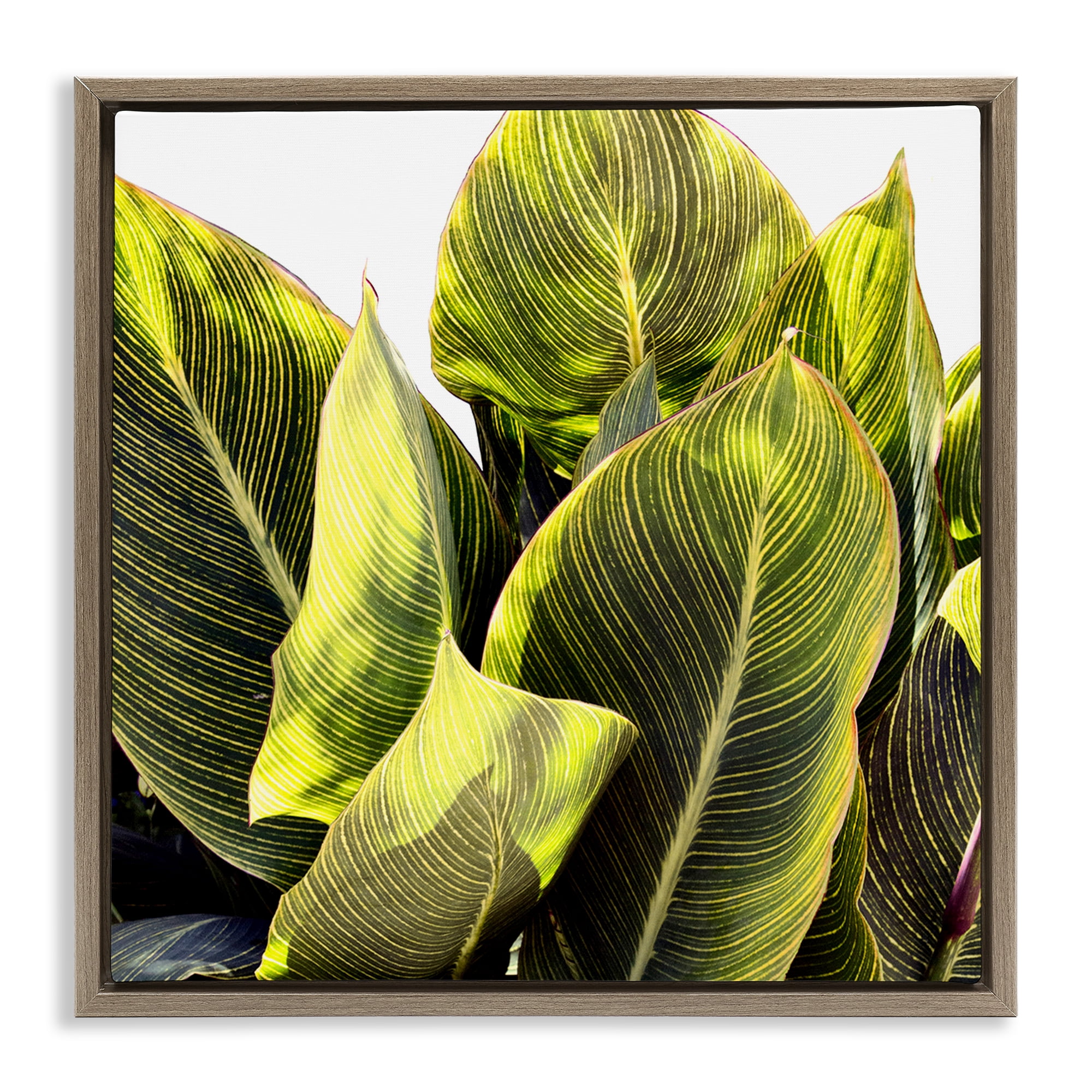 Stupell Industries Bright Tropical Leaves Botanical & Floral Painting Brown Floater Framed Art Print Wall Art, 25 x 25