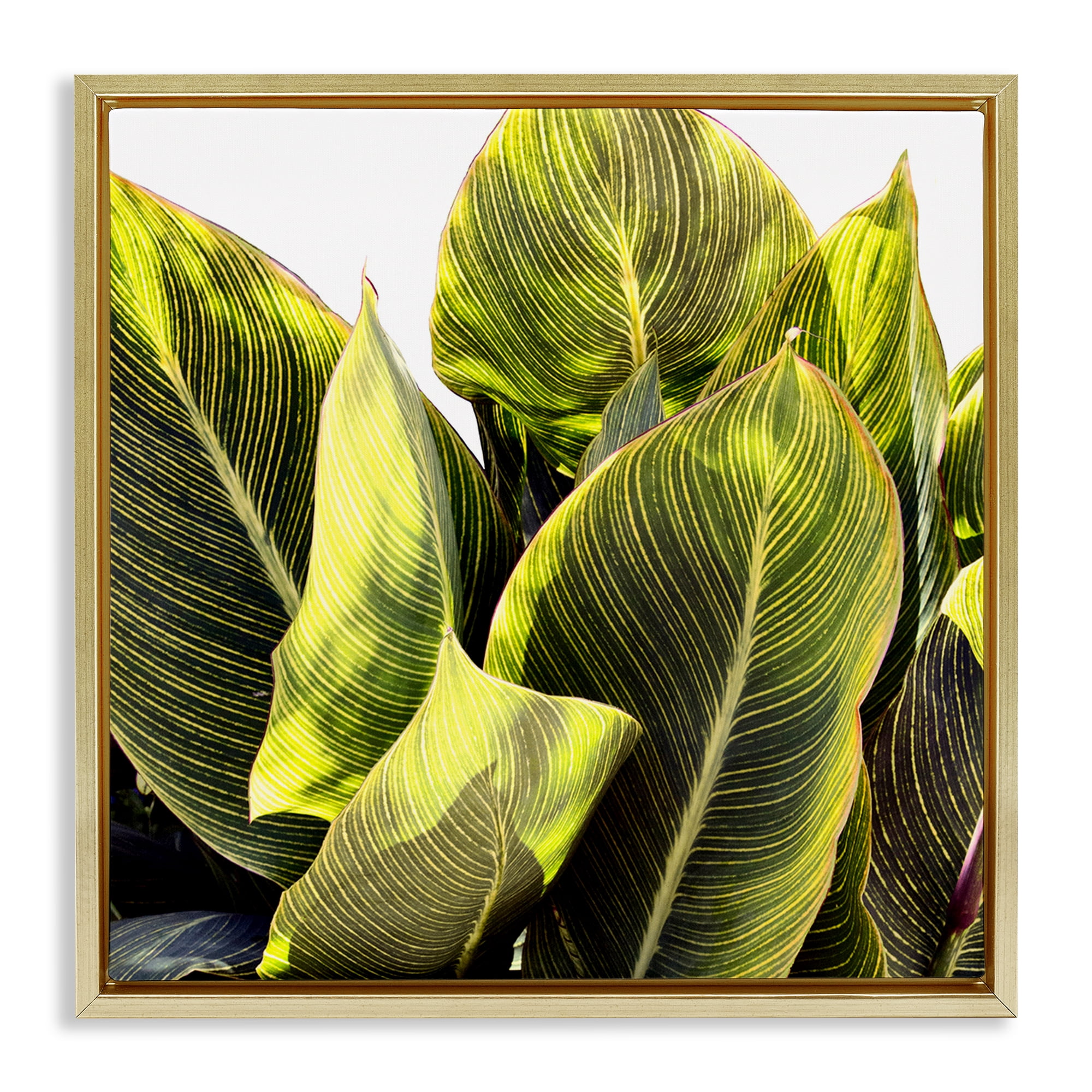 Stupell Industries Bright Tropical Leaves Botanical & Floral Painting Gold Floater Framed Art Print Wall Art, 25 x 25