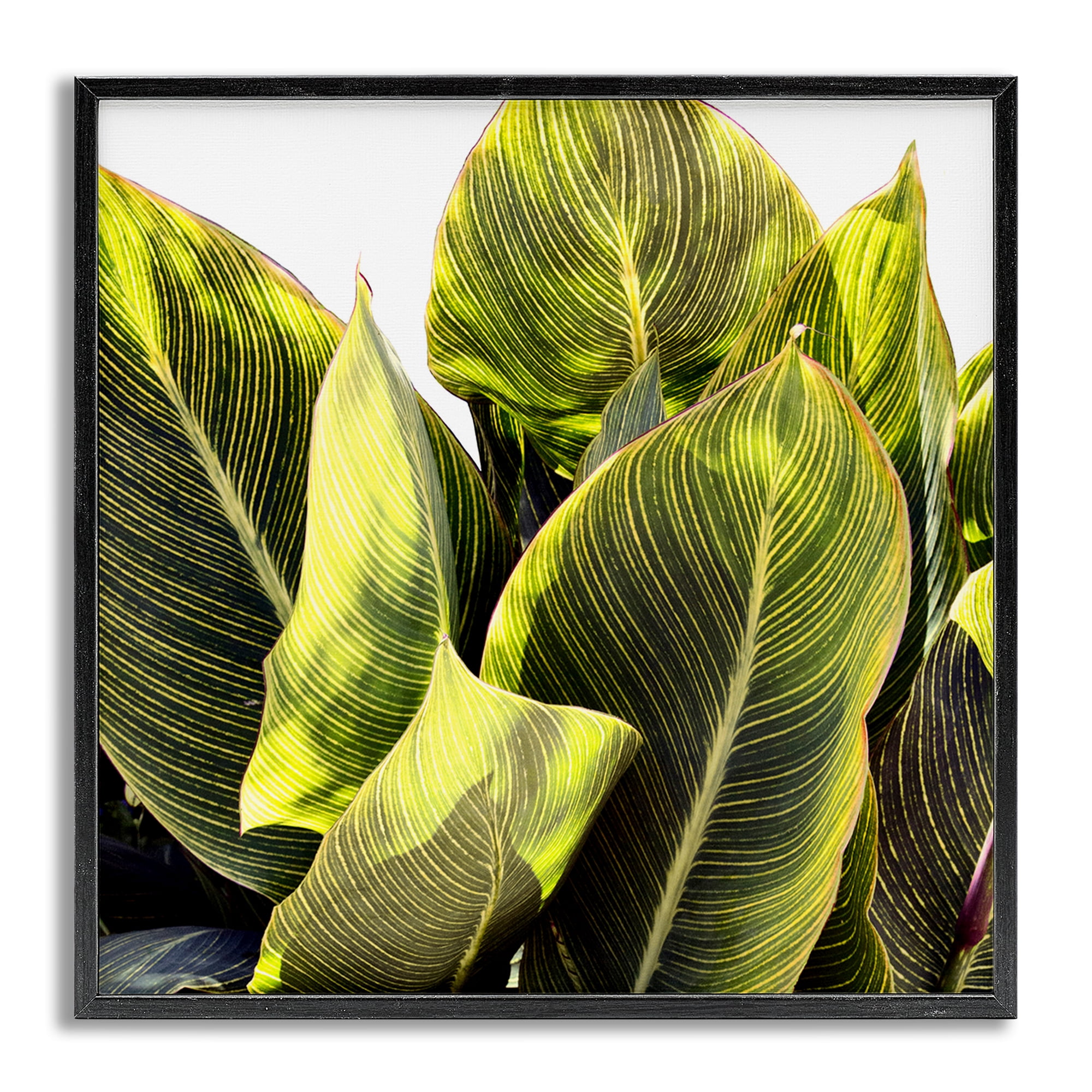 Stupell Industries Bright Tropical Leaves Botanical & Floral Painting Gray Framed Art Print Wall Art, 12 x 12