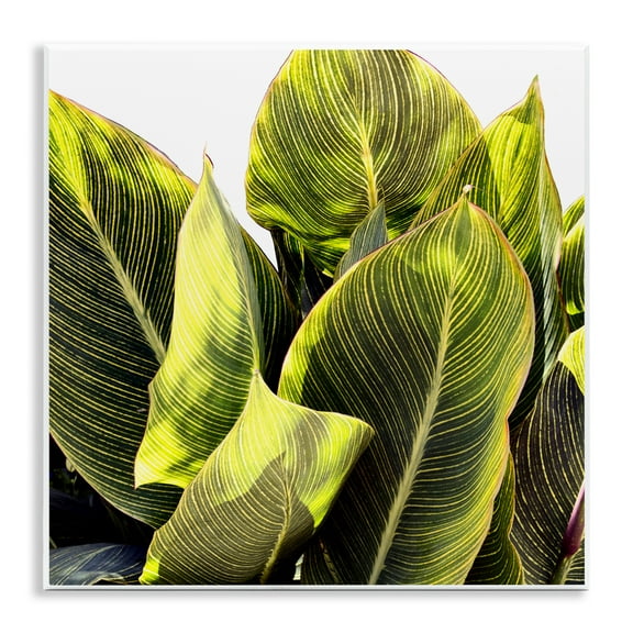 Stupell Industries Bright Tropical Leaves Botanical & Floral Painting Unframed Art Print Wall Art, 12 x 12