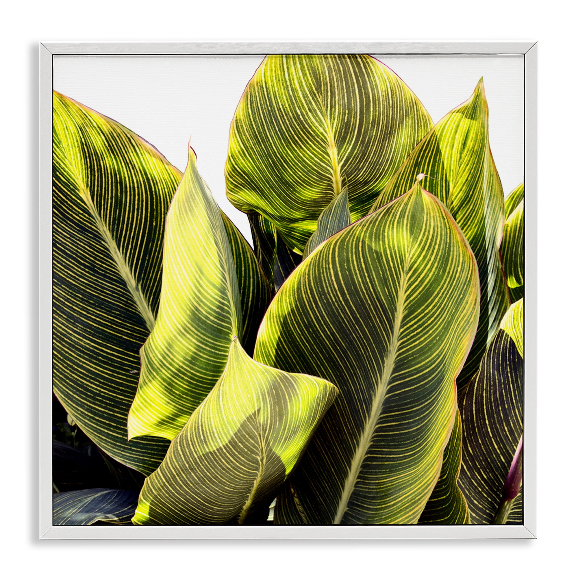 Stupell Industries Bright Tropical Leaves Botanical & Floral Painting White Framed Art Print Wall Art, 17 x 17