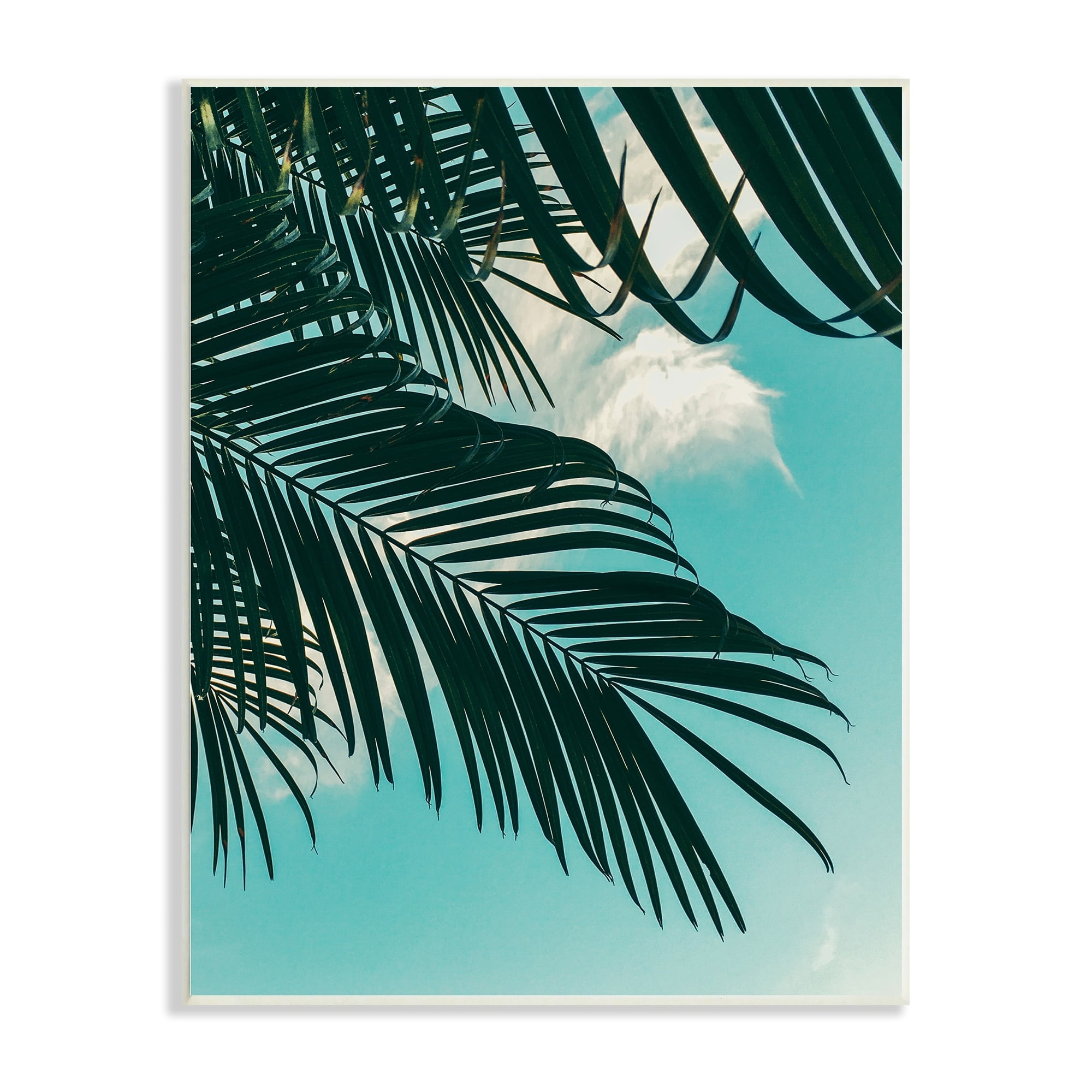 Stupell Industries Bright Tropical Palm Tree Leaves Against Blue Sky Wood Wall Art, 13 x 19, Design by Amy Brinkman