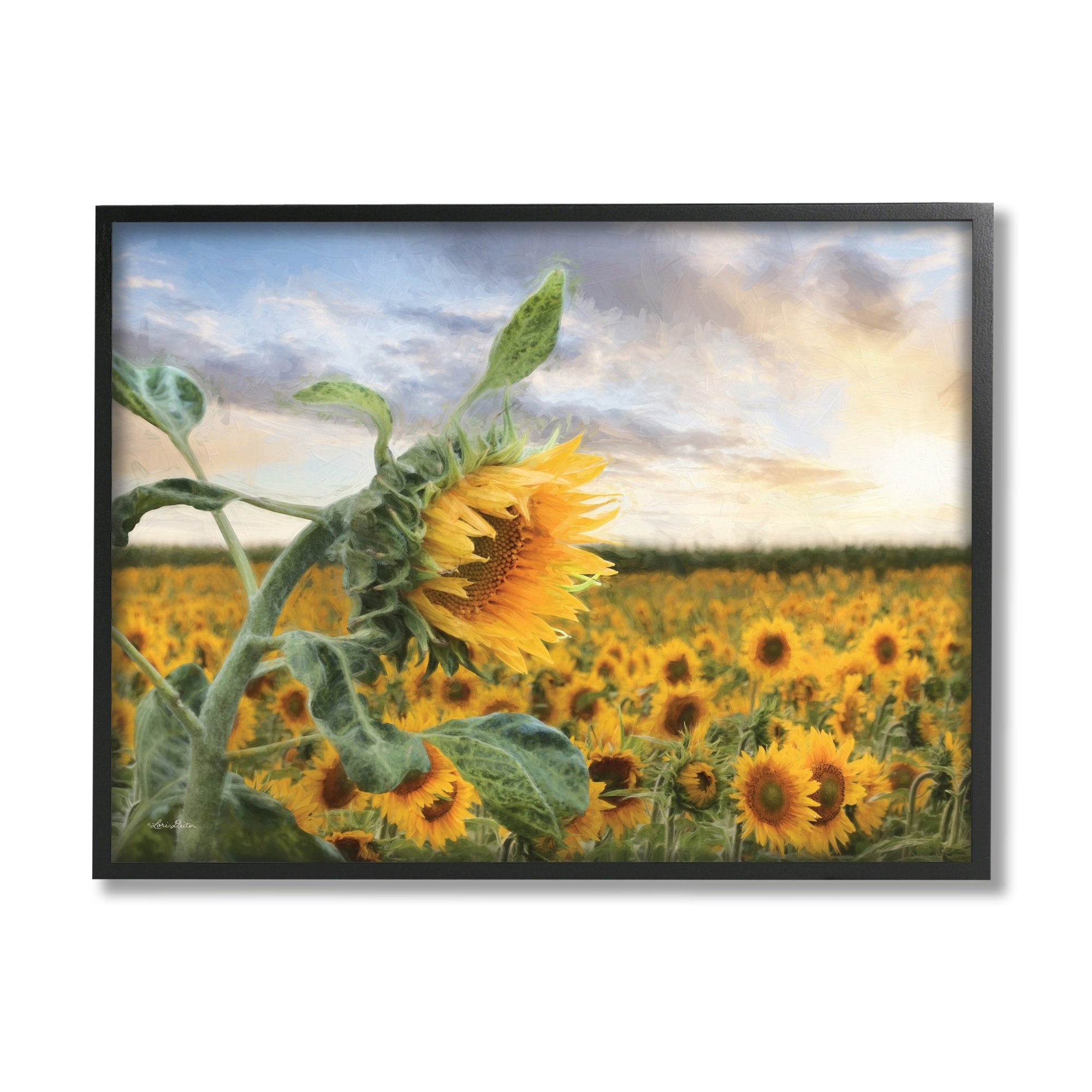 Stupell Industries Bright Yellow Sunflowers Blooming Field Sunshine Sky Photography Black Framed Art Print Wall Art, 20x16, by Lori Deiter