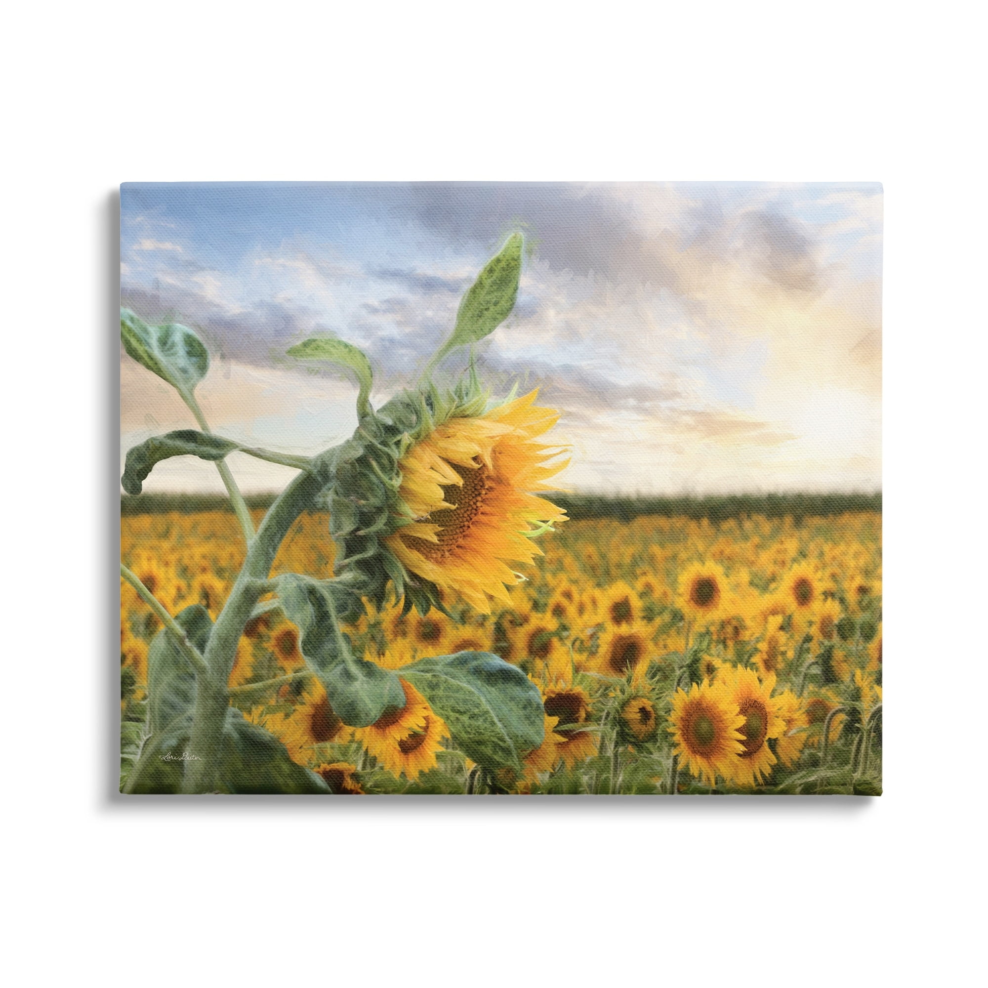 Stupell Industries Bright Yellow Sunflowers Blooming Field Sunshine Sky Photography Gallery-Wrapped Canvas Print Wall Art, 40x30, by Lori Deiter
