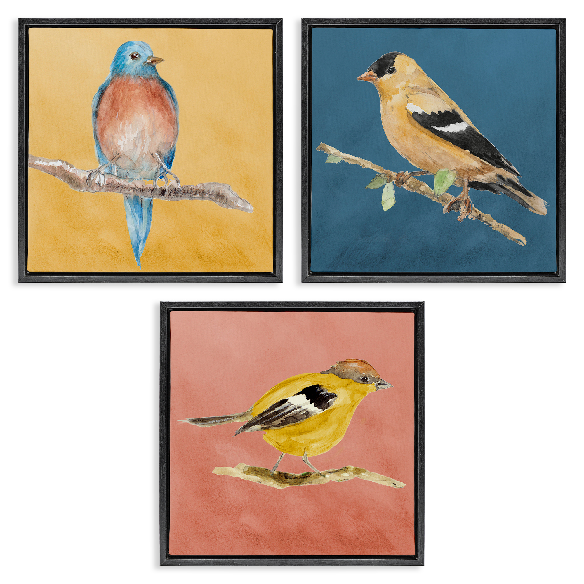 Stupell Industries Brilliant Birds on Branches Animals Painting Black Floater Framed Canvas Art Print Wall Art, 18 x 18, Set of 3