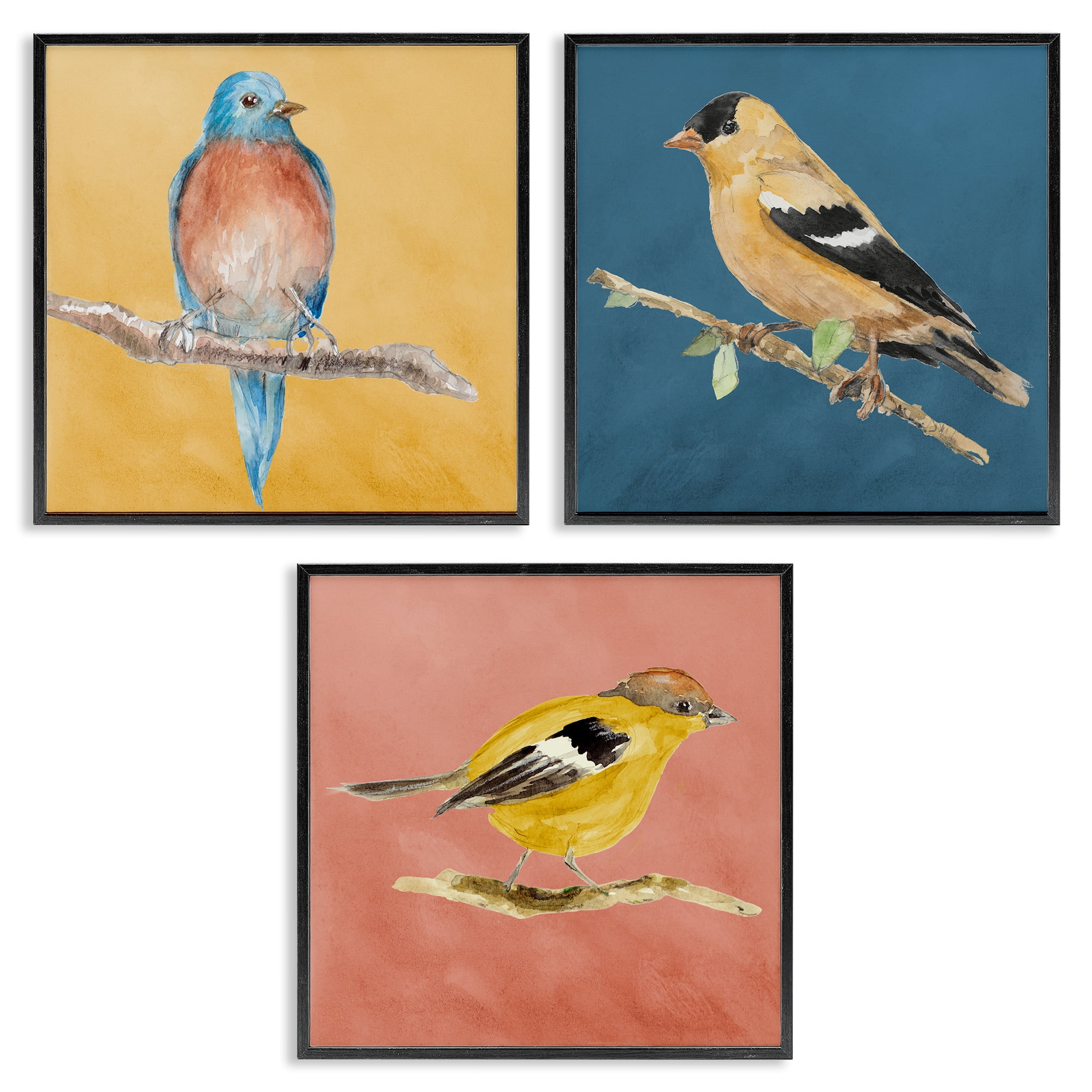 Stupell Industries Brilliant Birds on Branches Animals Painting Black Framed Art Print Wall Art, 12 x 12, Set of 3