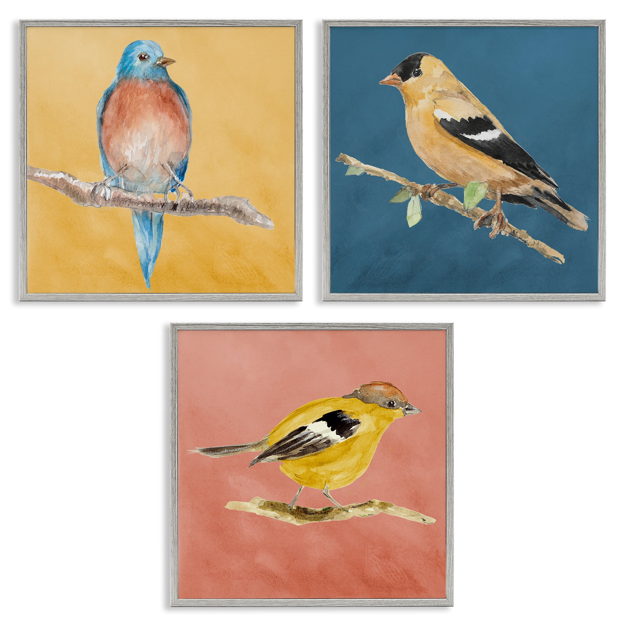 Stupell Industries Brilliant Birds on Branches Animals Painting Gray Framed Art Print Wall Art, 12 x 12, Set of 3