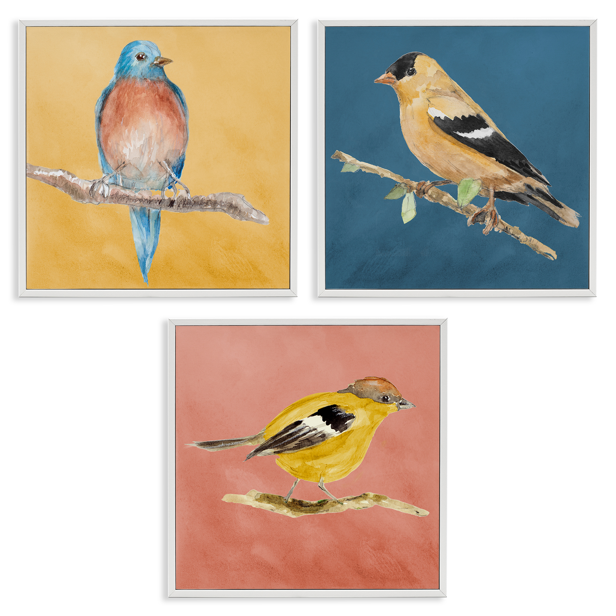 Stupell Industries Brilliant Birds on Branches Animals Painting White Framed Art Print Wall Art, 17 x 17, Set of 3