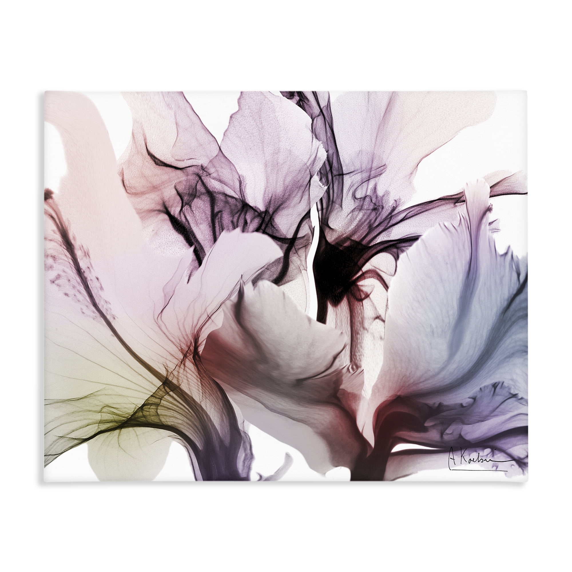 Stupell Industries Brilliant Song Flower Petals Canvas Wall Art, design by Albert Koetsier