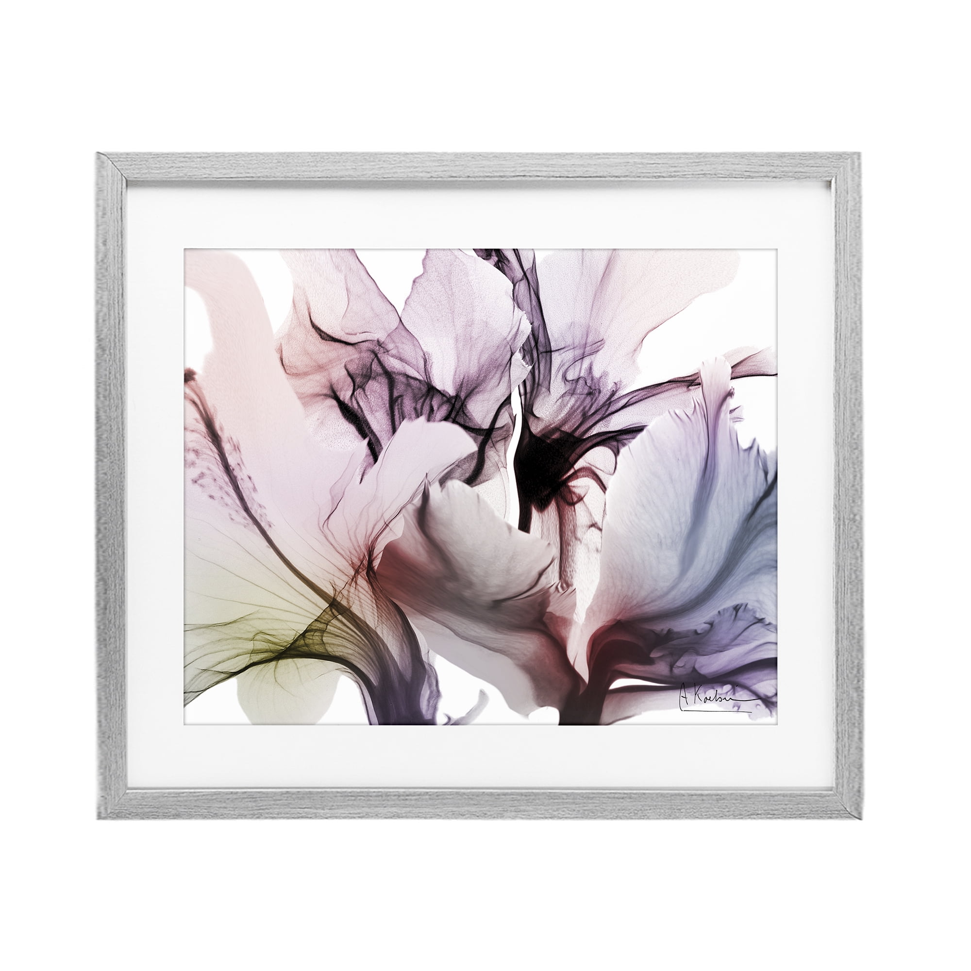 Stupell Industries Brilliant Song Flower Petals Gray Framed Print Under Glass, design by Albert Koetsier