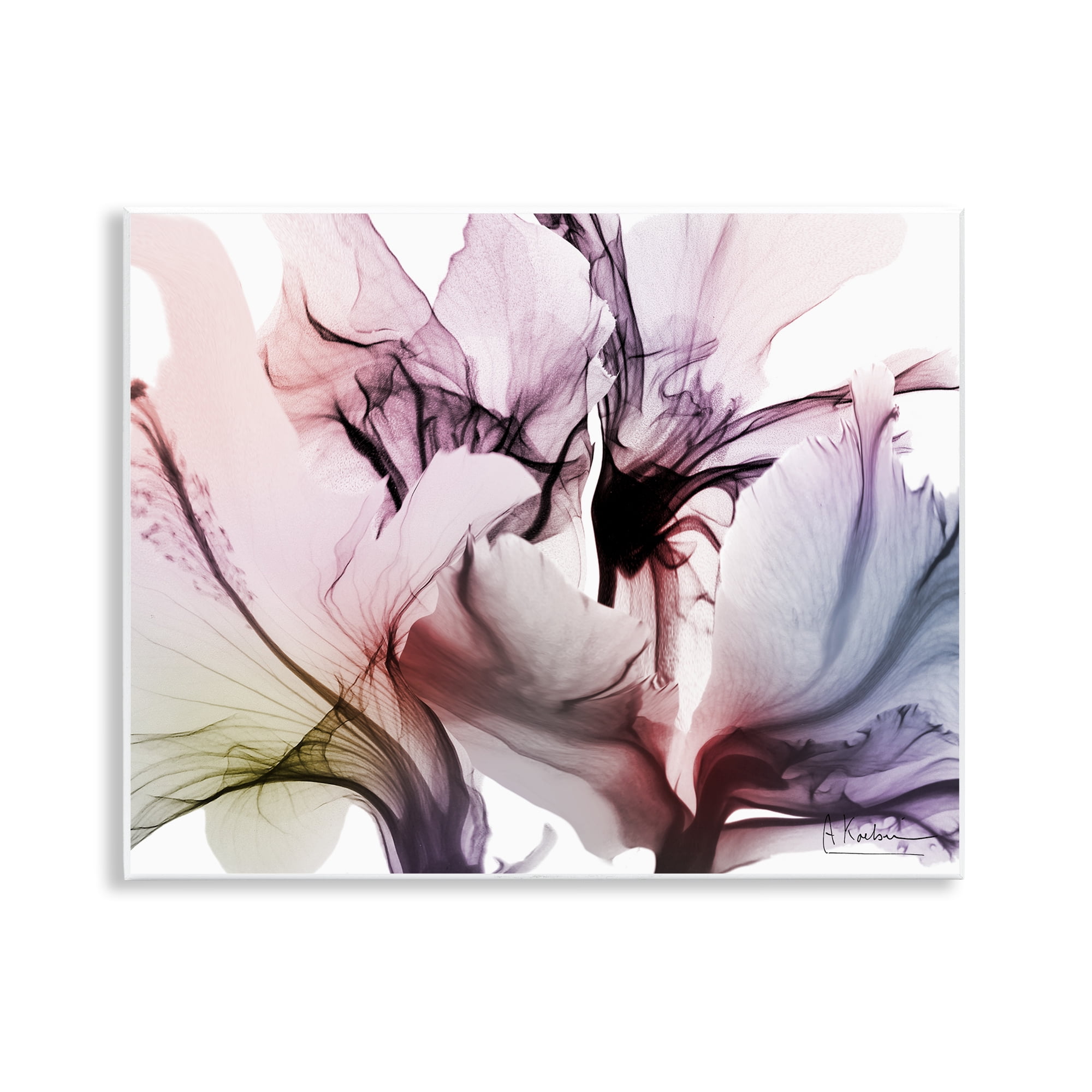 Stupell Industries Brilliant Song Flower Petals Wall Plaque Art, design by Albert Koetsier
