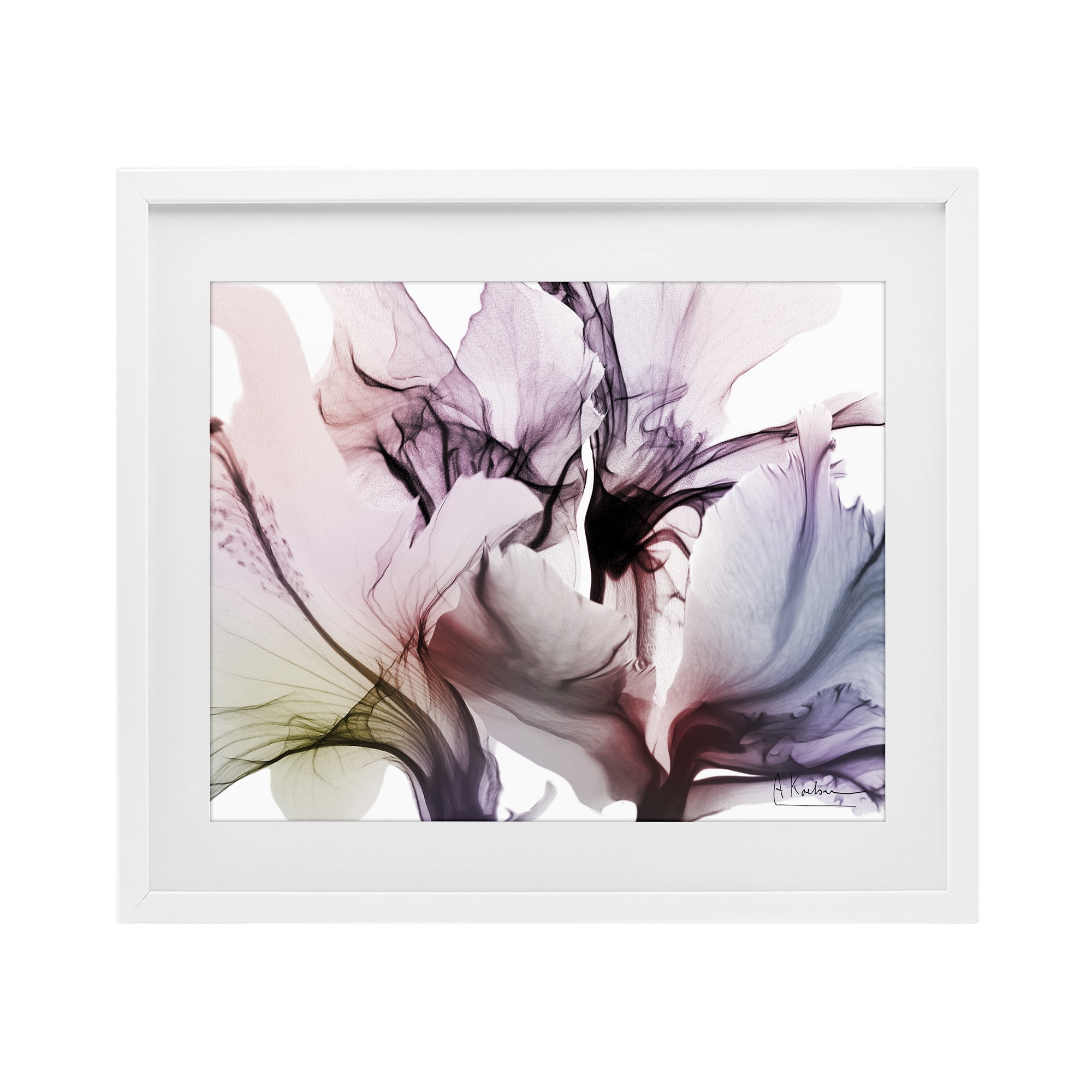 Stupell Industries Brilliant Song Flower Petals White Framed Print Under Glass, design by Albert Koetsier