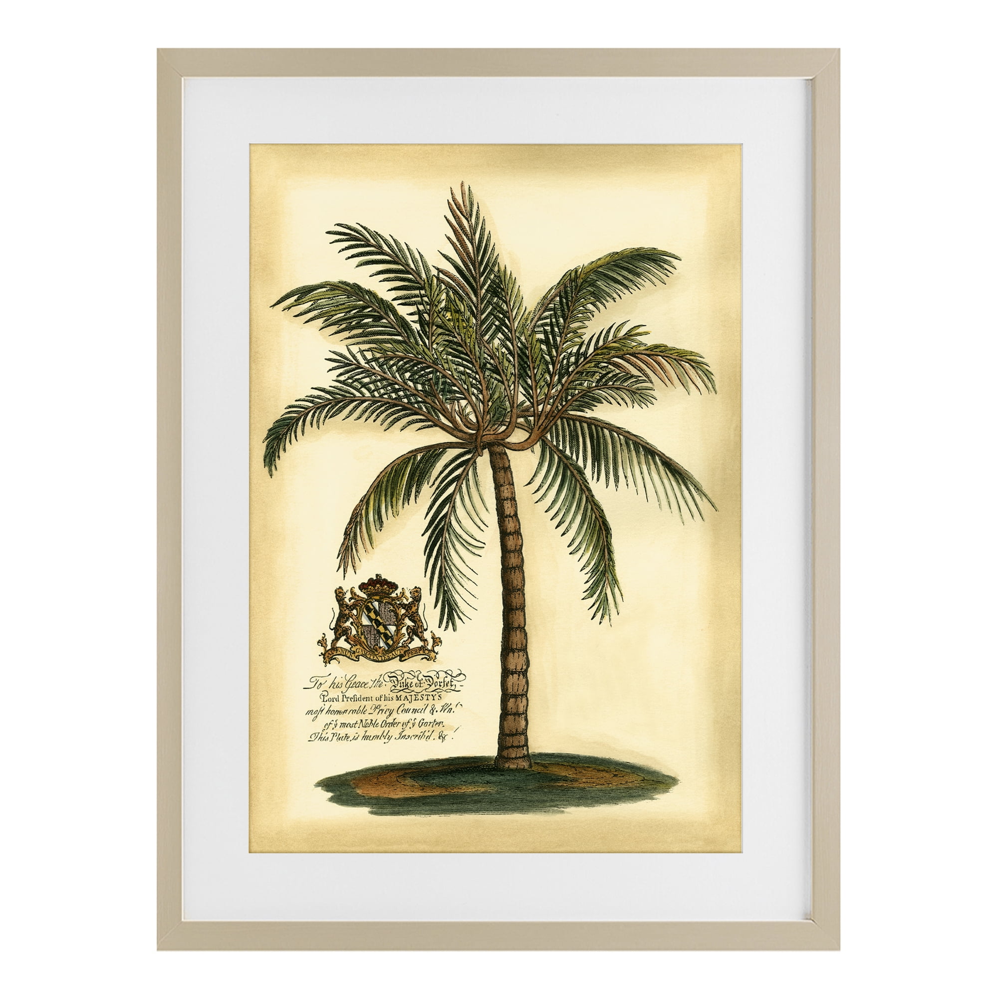 Stupell Industries British Colonial Palm Birch Framed Print Under Glass, design by Vision Studio