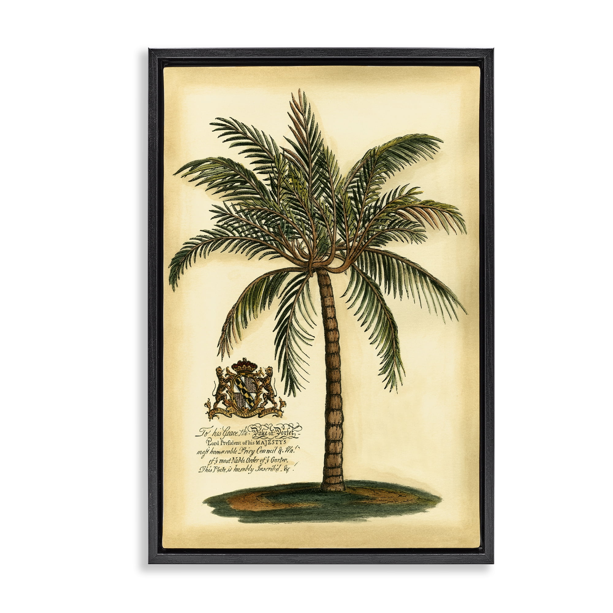 Stupell Industries British Colonial Palm Black Framed Floater Canvas Wall Art, design by Vision Studio