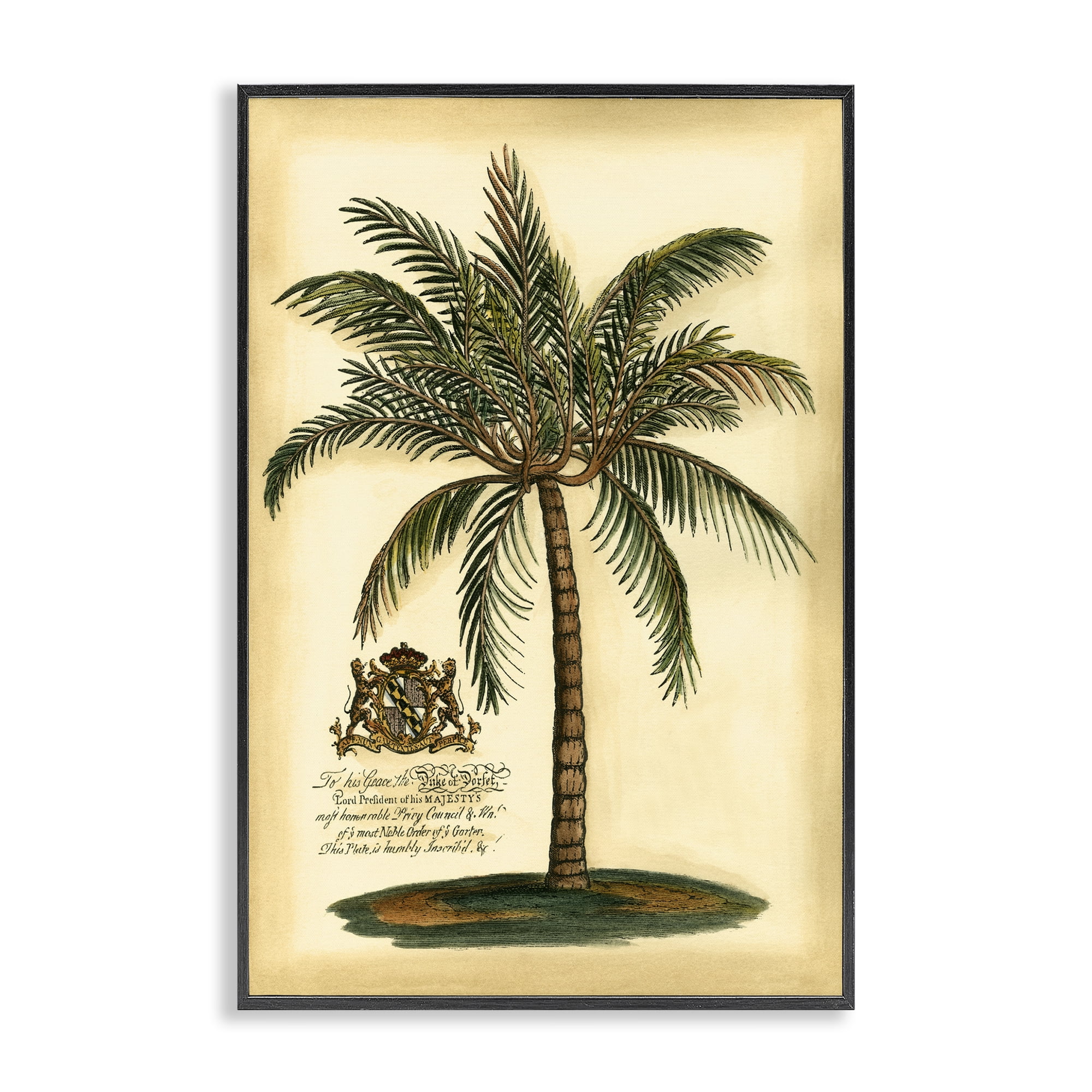 Stupell Industries British Colonial Palm Black Framed Giclee Art, design by Vision Studio