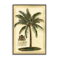 thumbnail image 1 of Stupell Industries French Country British Colonial Palm Black Framed Giclee Art, 12 x 18, by Vision Studio, 1 of 8