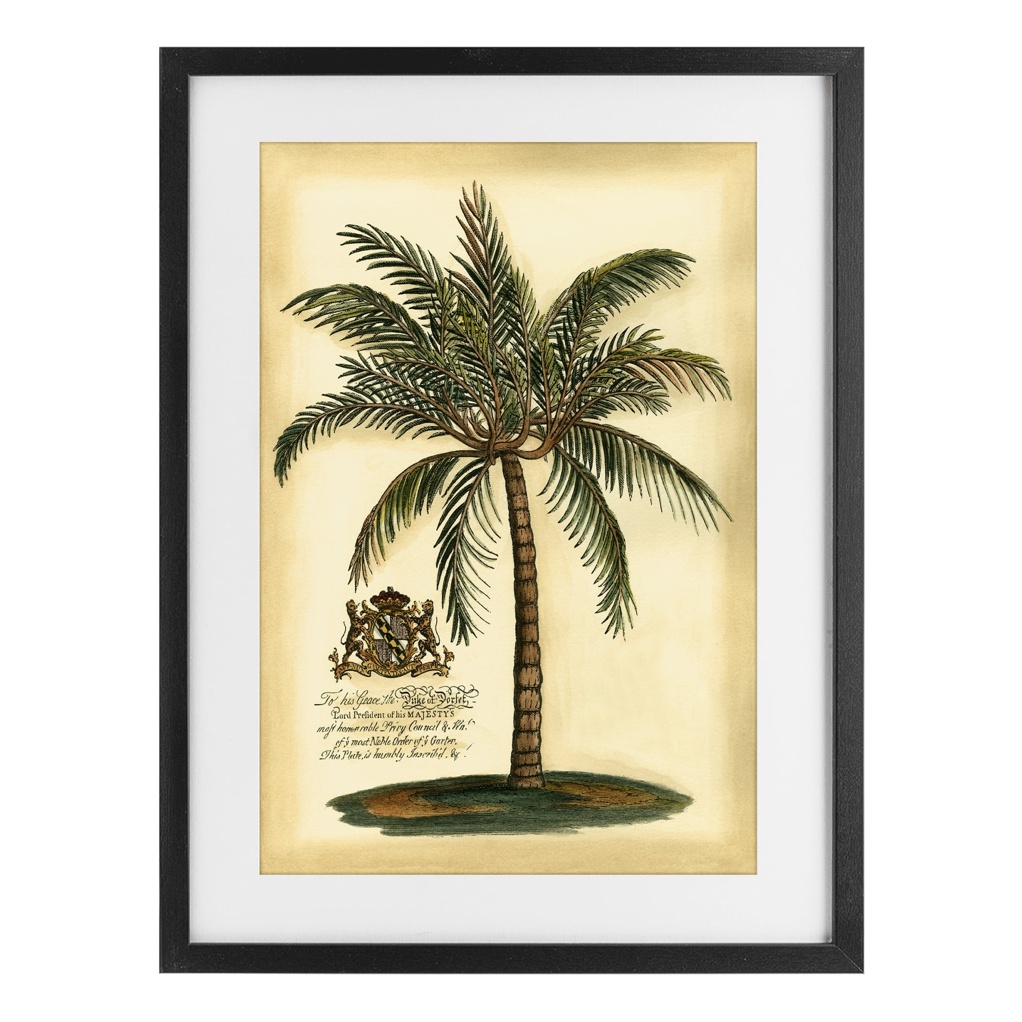 Stupell Industries British Colonial Palm Black Framed Print Under Glass, design by Vision Studio