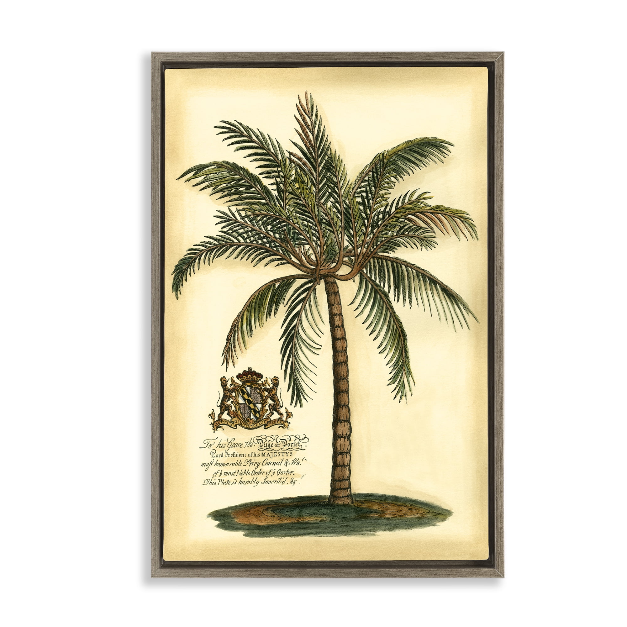 Stupell Industries British Colonial Palm Brown Framed Floater Canvas Wall Art, design by Vision Studio