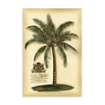 thumbnail image 1 of Stupell Industries French Country British Colonial Palm Canvas Art, 16 x 24, by Vision Studio, 1 of 8