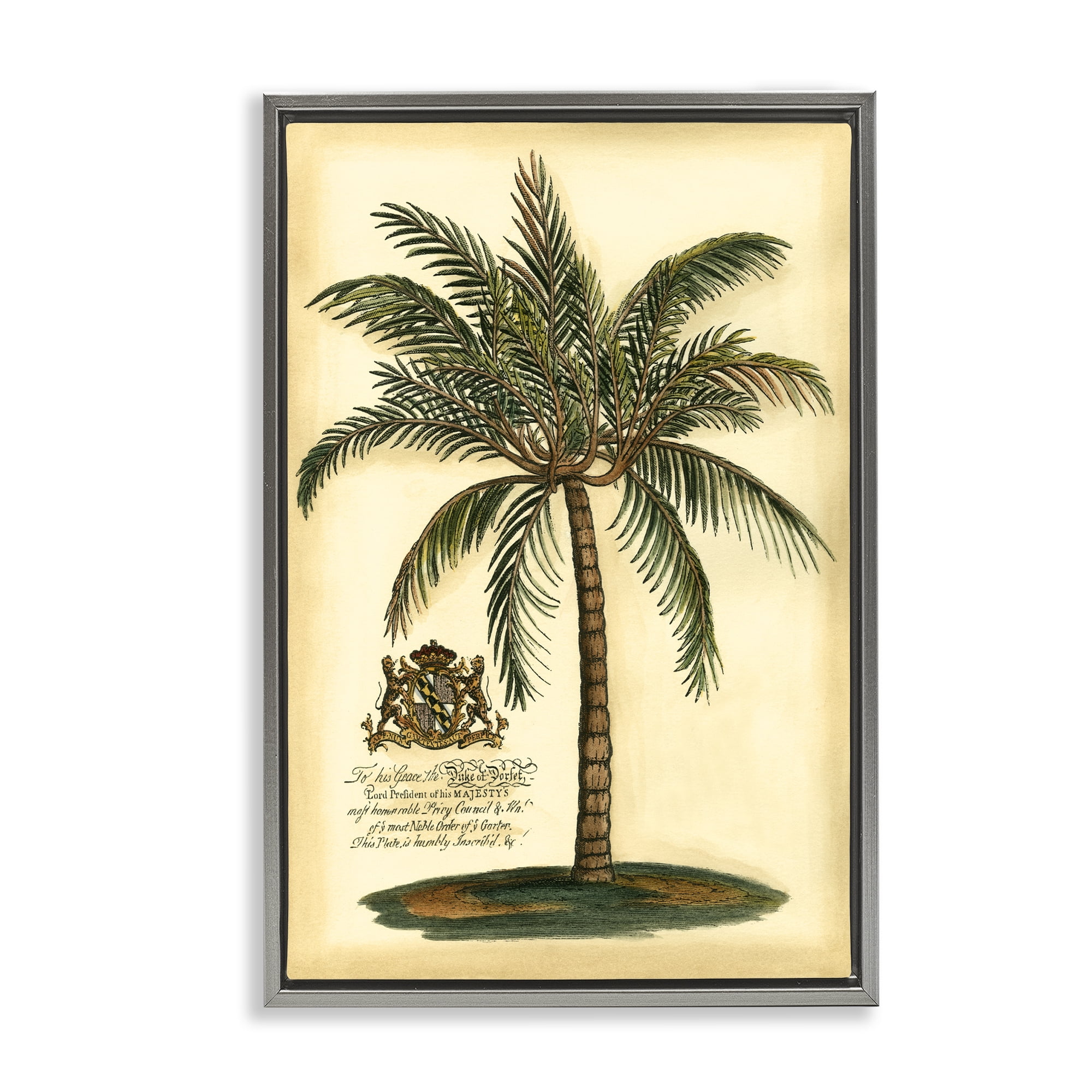 Stupell Industries British Colonial Palm Gray Framed Floater Canvas Wall Art, design by Vision Studio
