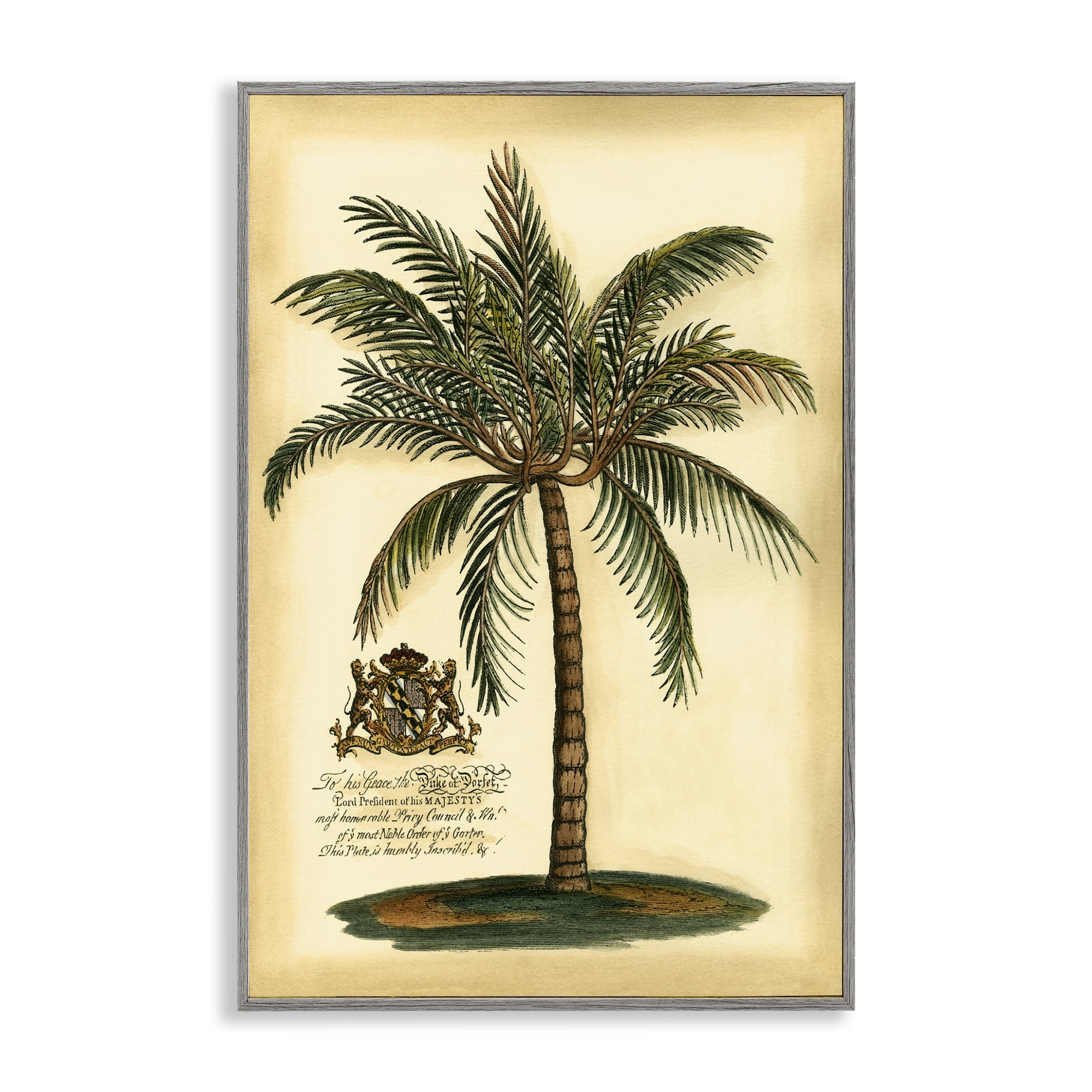 Stupell Industries British Colonial Palm Gray Framed Giclee Art, design by Vision Studio