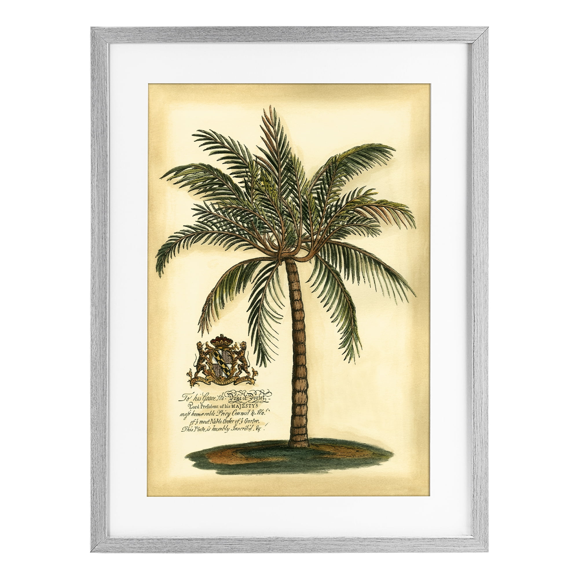 Stupell Industries British Colonial Palm Gray Framed Print Under Glass, design by Vision Studio