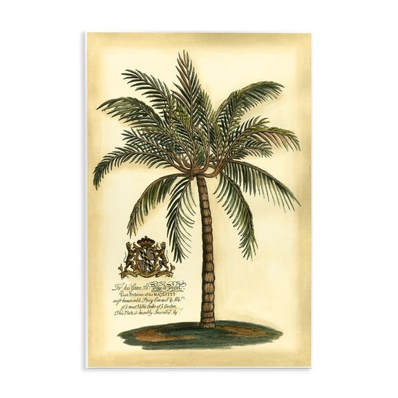 Stupell Industries British Colonial Palm Wall Plaque Art, design by Vision Studio
