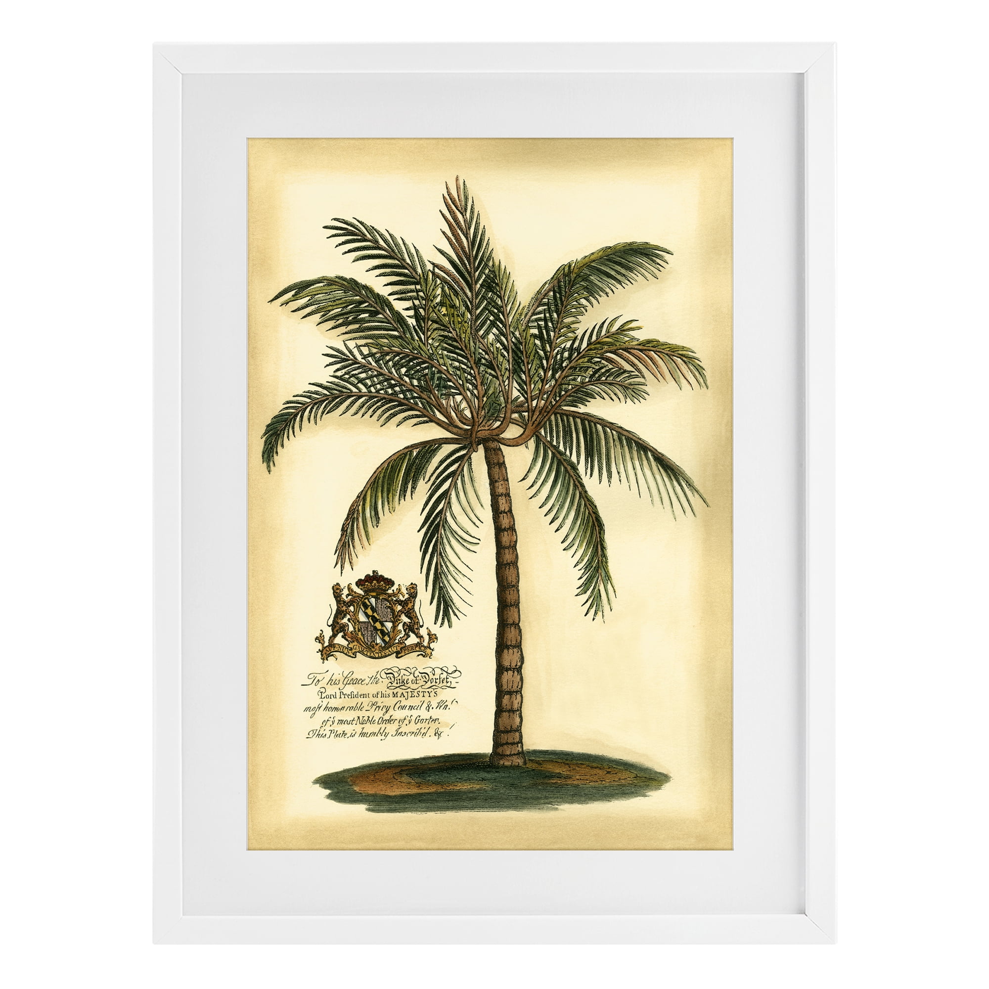 Stupell Industries British Colonial Palm White Framed Print Under Glass, design by Vision Studio