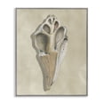 thumbnail image 1 of Stupell Industries Traditional Broken Conch Shell Gray Framed Giclee Art, 24 x 30, by Michael Willett, 1 of 7