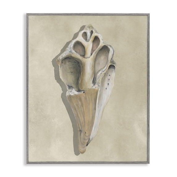 Stupell Industries Traditional Broken Conch Shell Gray Framed Giclee Art, 24 x 30, by Michael Willett