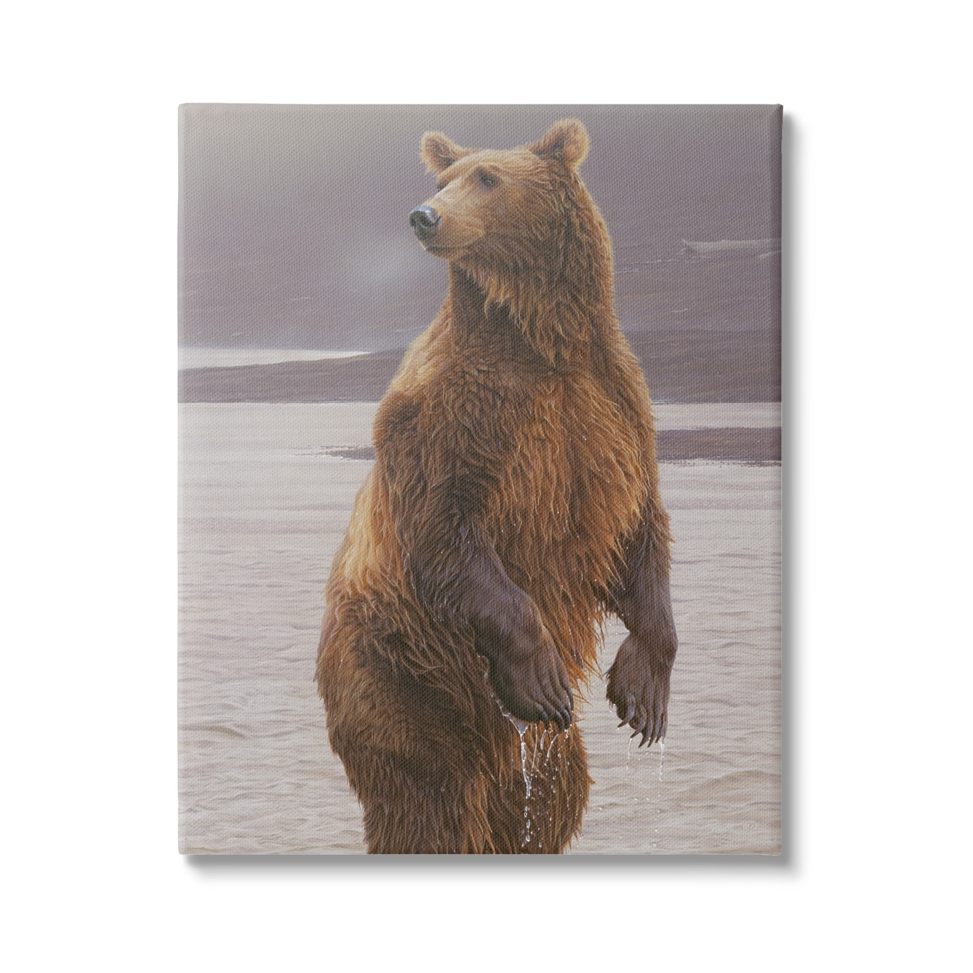 Stupell Industries Brown Bear Lake Water Splash Animals & Insects Painting Gallery Wrapped Canvas Print Wall Art