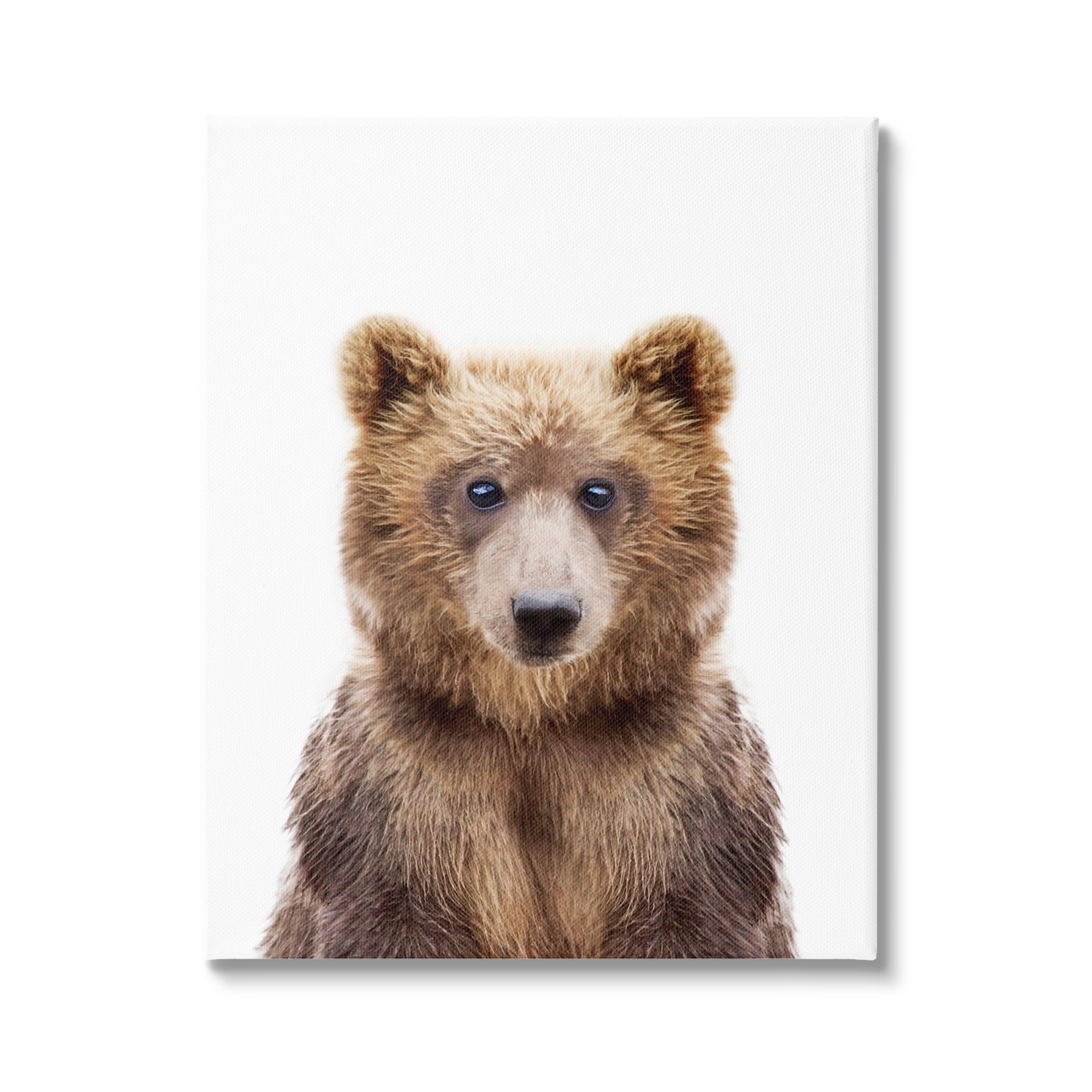 Stupell Industries Brown Bear Portrait Animals & Insects Painting Gallery Wrapped Canvas Print Wall Art, 36 x 48