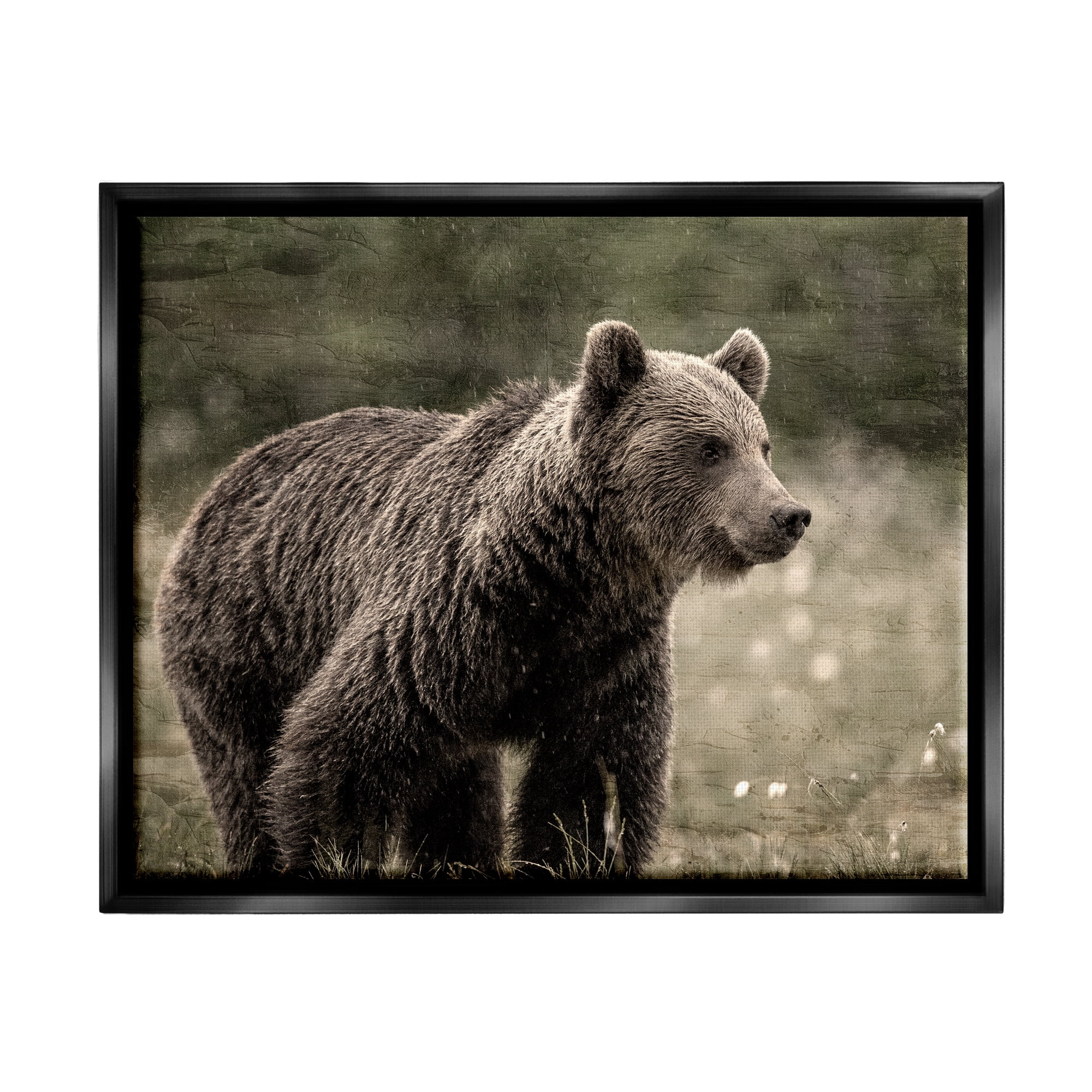 Stupell Industries Brown Bear Wildlife Animals & Insects Painting Black Floater Framed Canvas Art Print Wall Art, 21 x 17