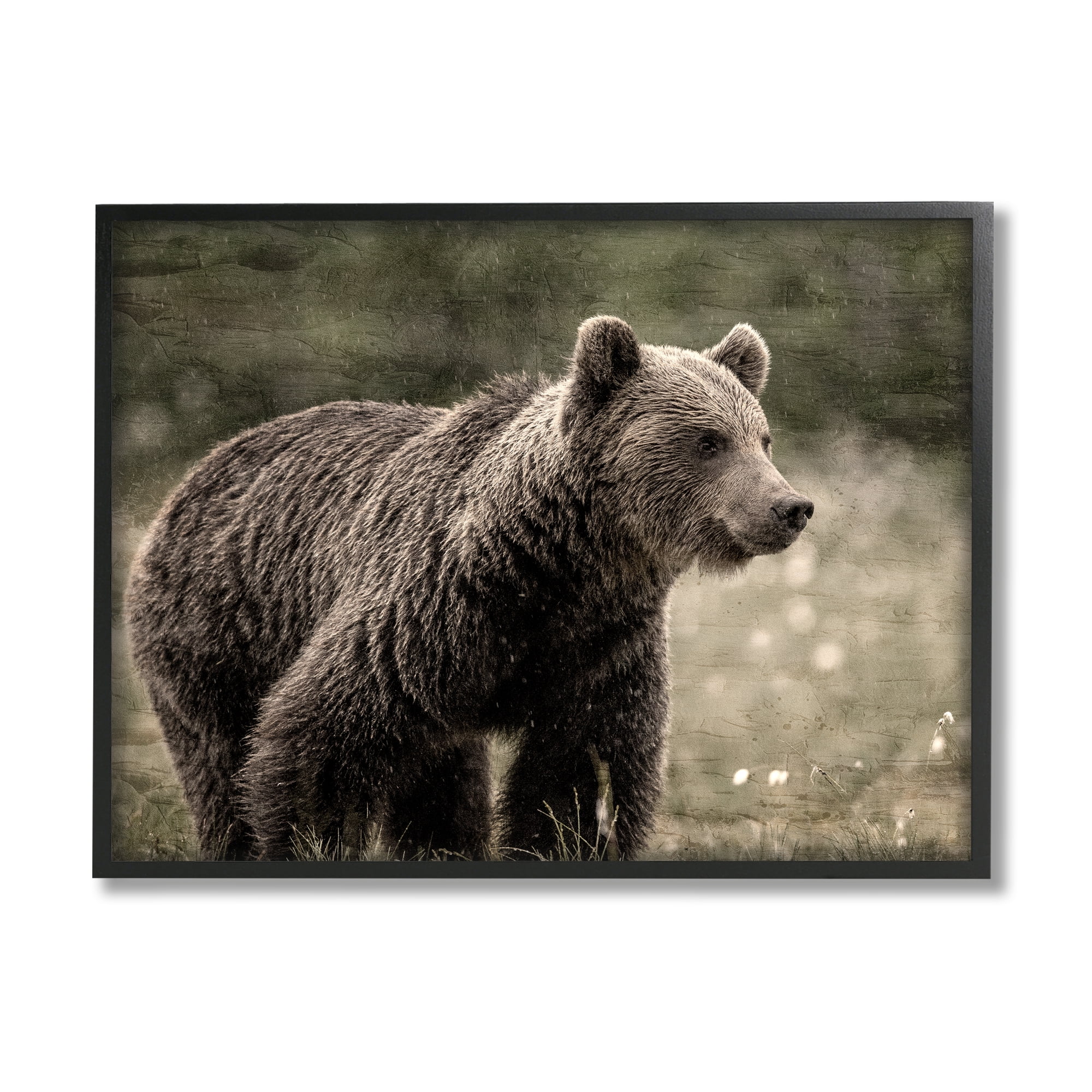 Stupell Industries Brown Bear Wildlife Animals & Insects Painting Black Framed Art Print Wall Art, 14 x 11