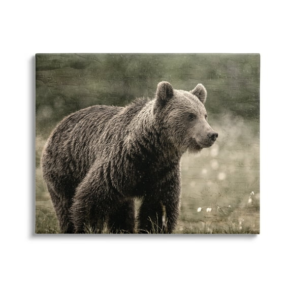 Stupell Industries Brown Bear Wildlife Animals & Insects Painting Gallery Wrapped Canvas Art Print Wall Art, 20 x 16