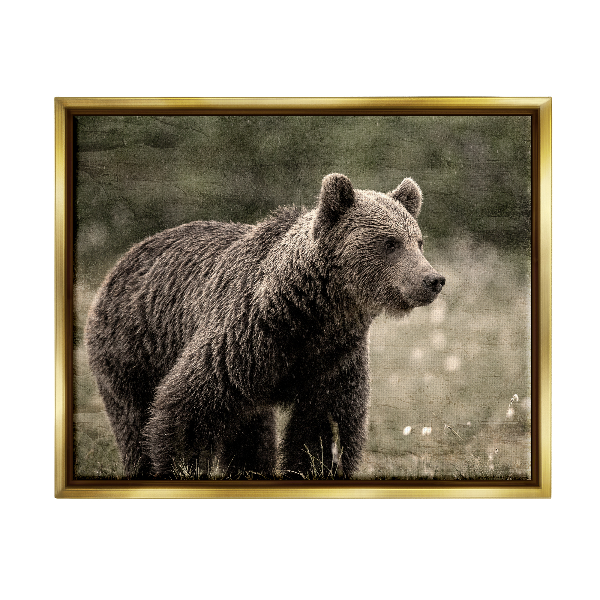 Stupell Industries Brown Bear Wildlife Animals & Insects Painting Gold Floater Framed Canvas Art Print Wall Art, 21 x 17